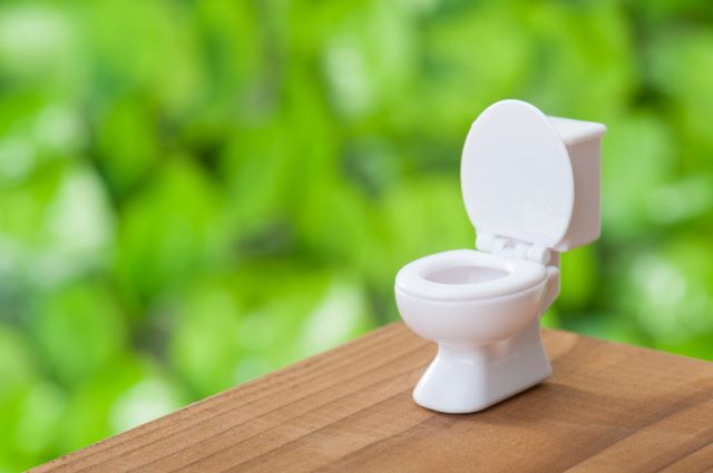 小さなトイレの模型